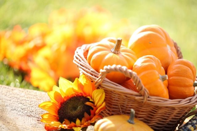 Пълноценно хранене през есента